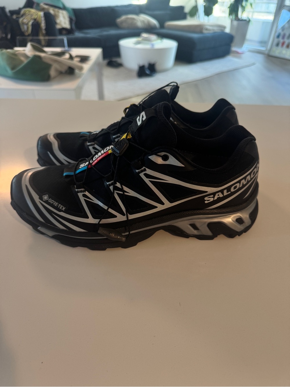 Salomon Black and Silver XT-6 Sneakers